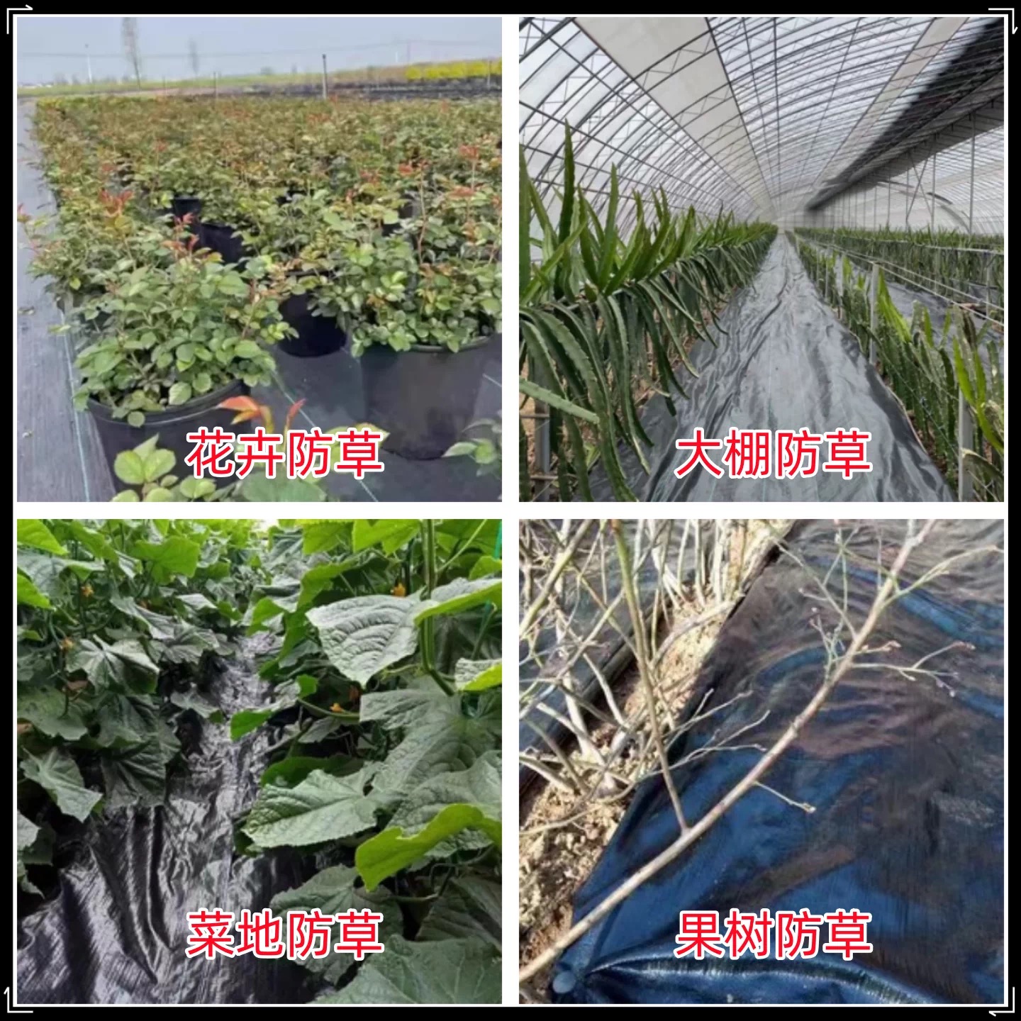 阿拉尔市塑料薄膜防草布 - 排名