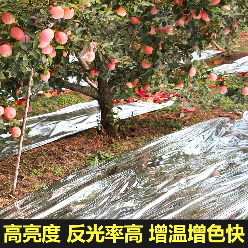 阿拉尔市地膜果树反光膜 - 厂家